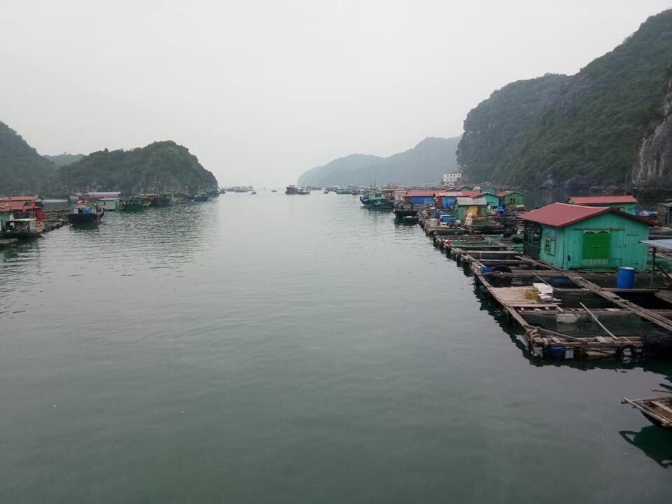 Cat Ba Daily Life Hotel Dong Khe Sau Esterno foto